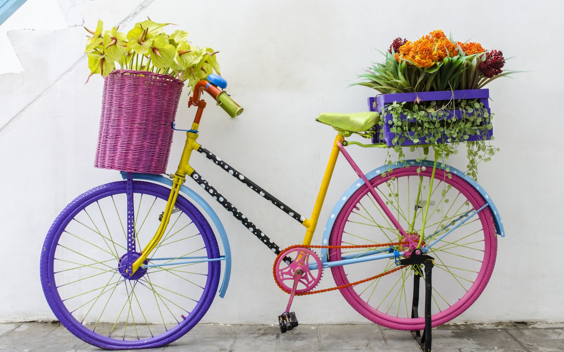 Flowers on Bicycle Wallpaper for Widescreen Desktop PC 1920x1080 Full HD