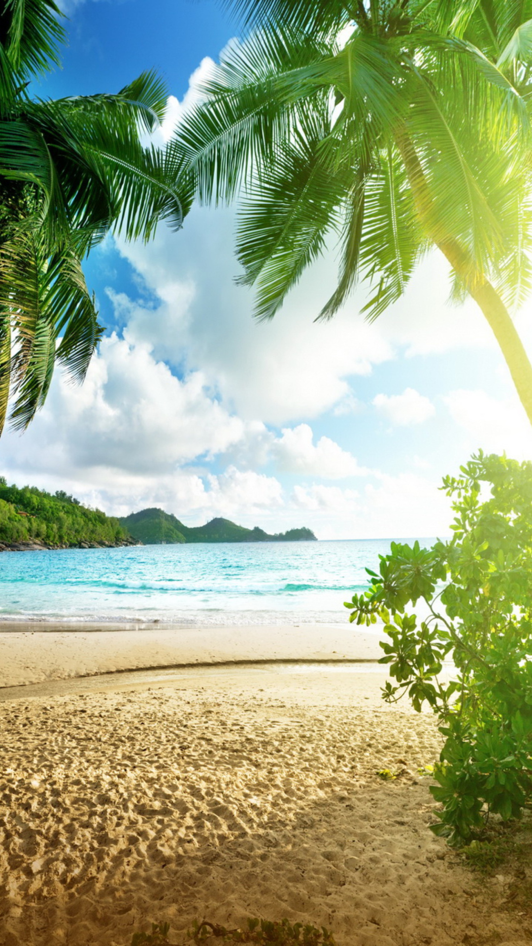 Tropical Beach In Palau Wallpaper for iPhone 6 Plus