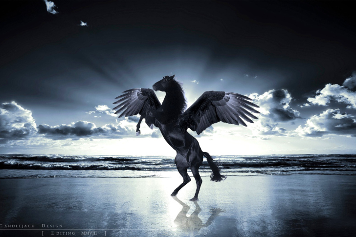 Pegasus-wide-i.jpg